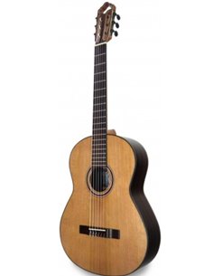 APC 9C GUITARRA CLASICA 2