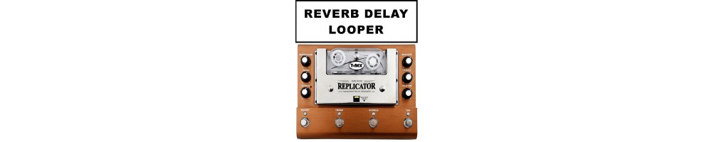 Reverb Delay Looper